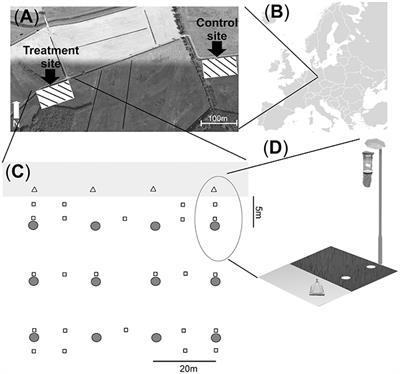 Artificial Light at Night Affects Organism Flux across Ecosystem Boundaries and Drives Community Structure in the Recipient Ecosystem